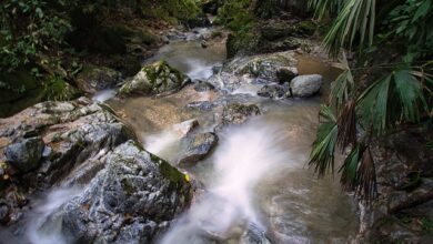 River Stream Colombia Mountains - USA-Reiseblogger / Pixabay