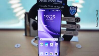 Vivo X300